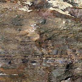 Пробковый пол Cork Style Fossil